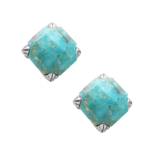 Faceted Turquoise Post Earrings