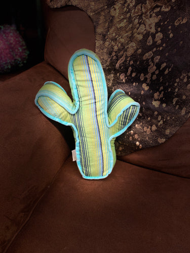 Crazy Train Pillow