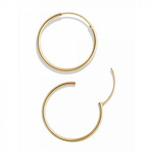 Modest Gold Hoop Earrings